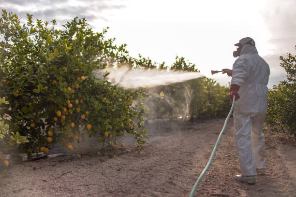 Best Local Pest Control Services  in Southmont, PA