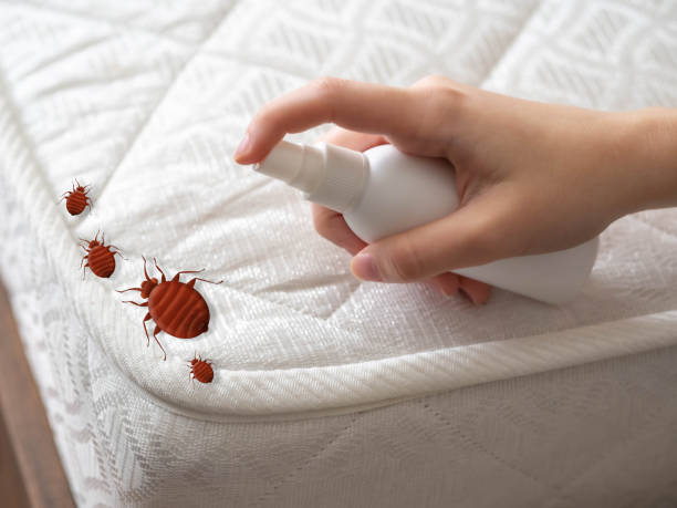 Best Affordable Pest Control Services  in Southmont, PA