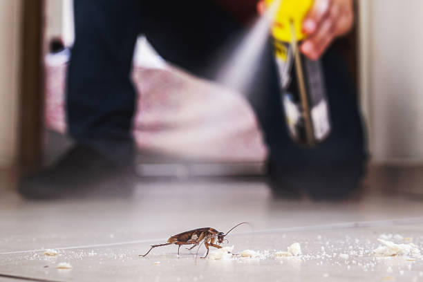 Professional Pest Control in Southmont, PA